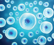 plants growing in a beaker