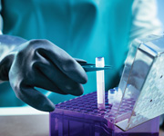 plants growing in a beaker