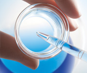 plants growing in a beaker