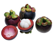 fruit from Mangosteen tree