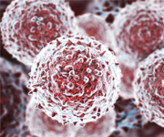 stem cells