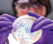 computer illustration of human heart