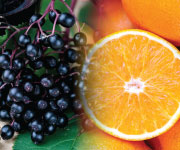 Elderberry and oranges for colds