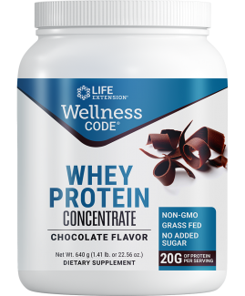 Wellness Code® Whey Protein Concentrate (Chocolate)