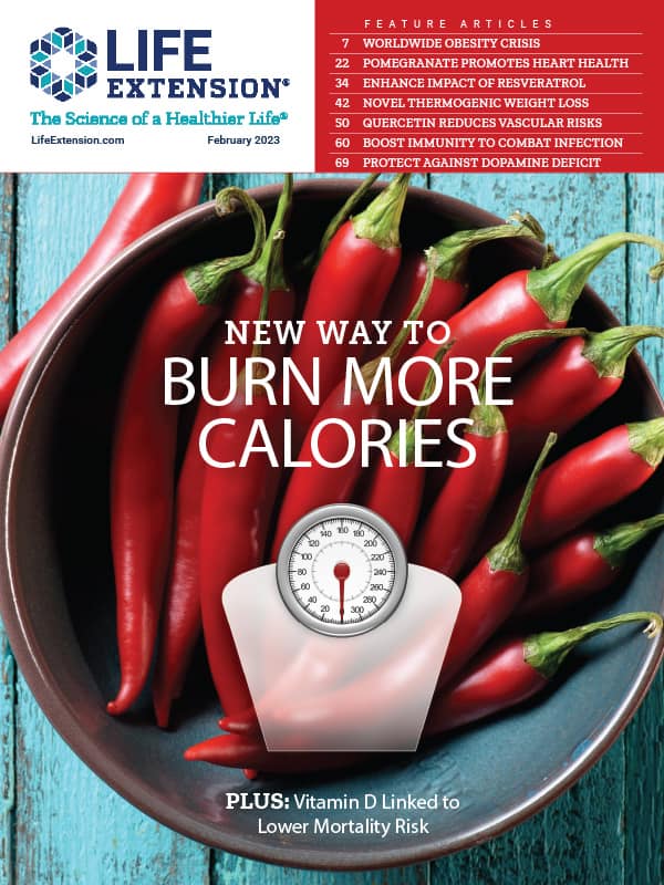 Worldwide Obesity Crisis