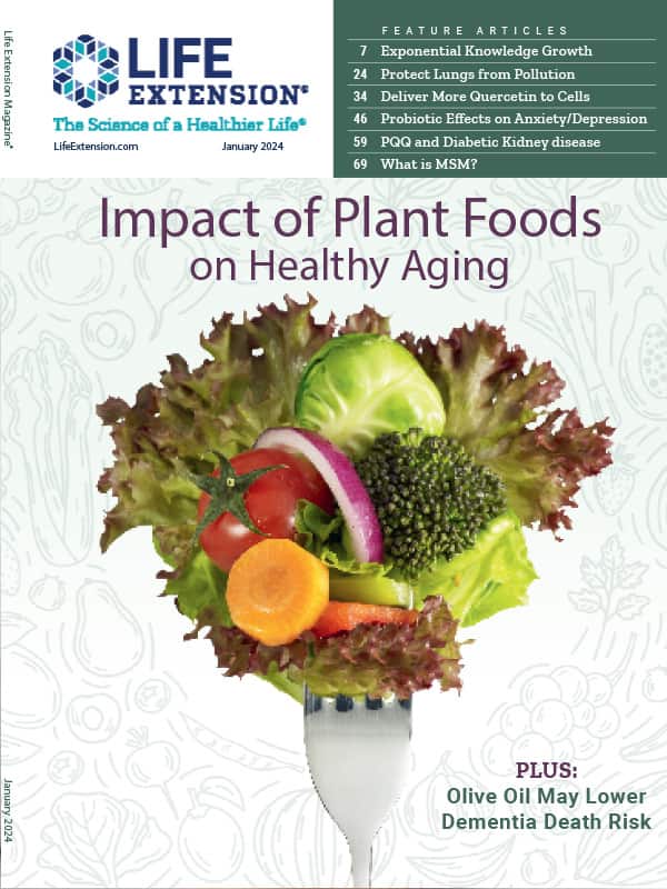 Deliver More Quercetin to Your Cells