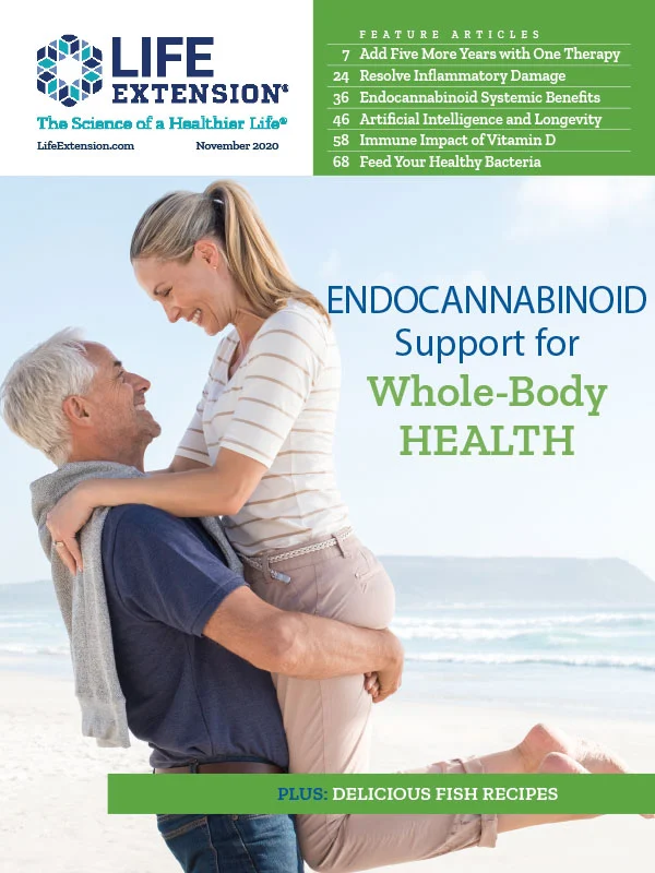 Beyond CBD: Plant-Derived Endocannabinoid Support